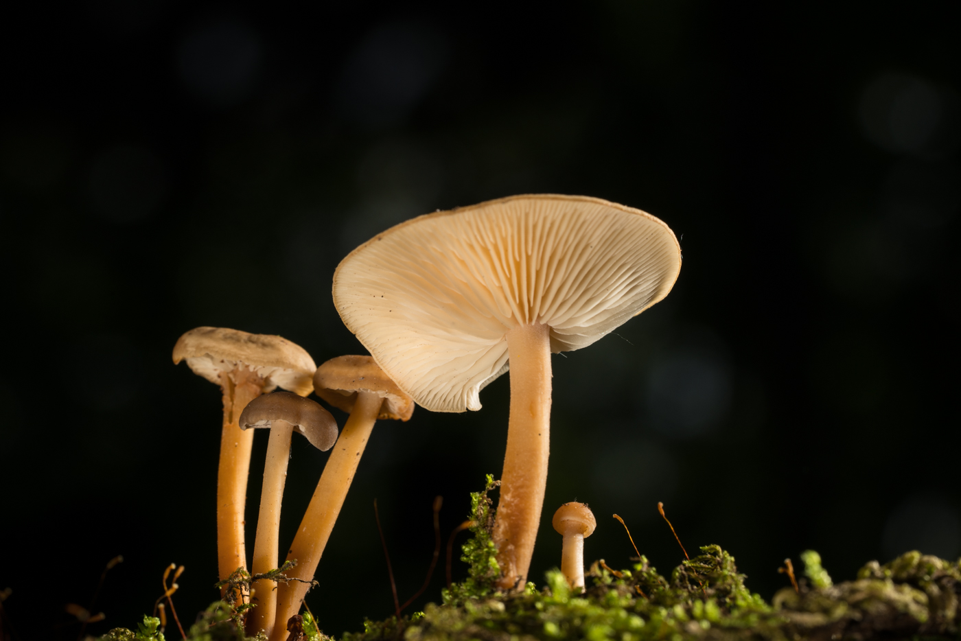YDY07690.jpg