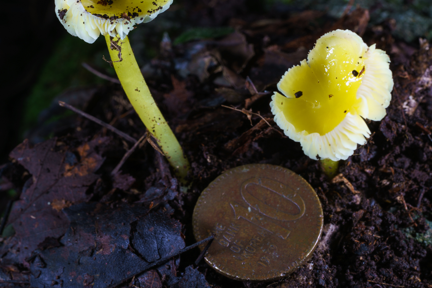 YDY06036.jpg