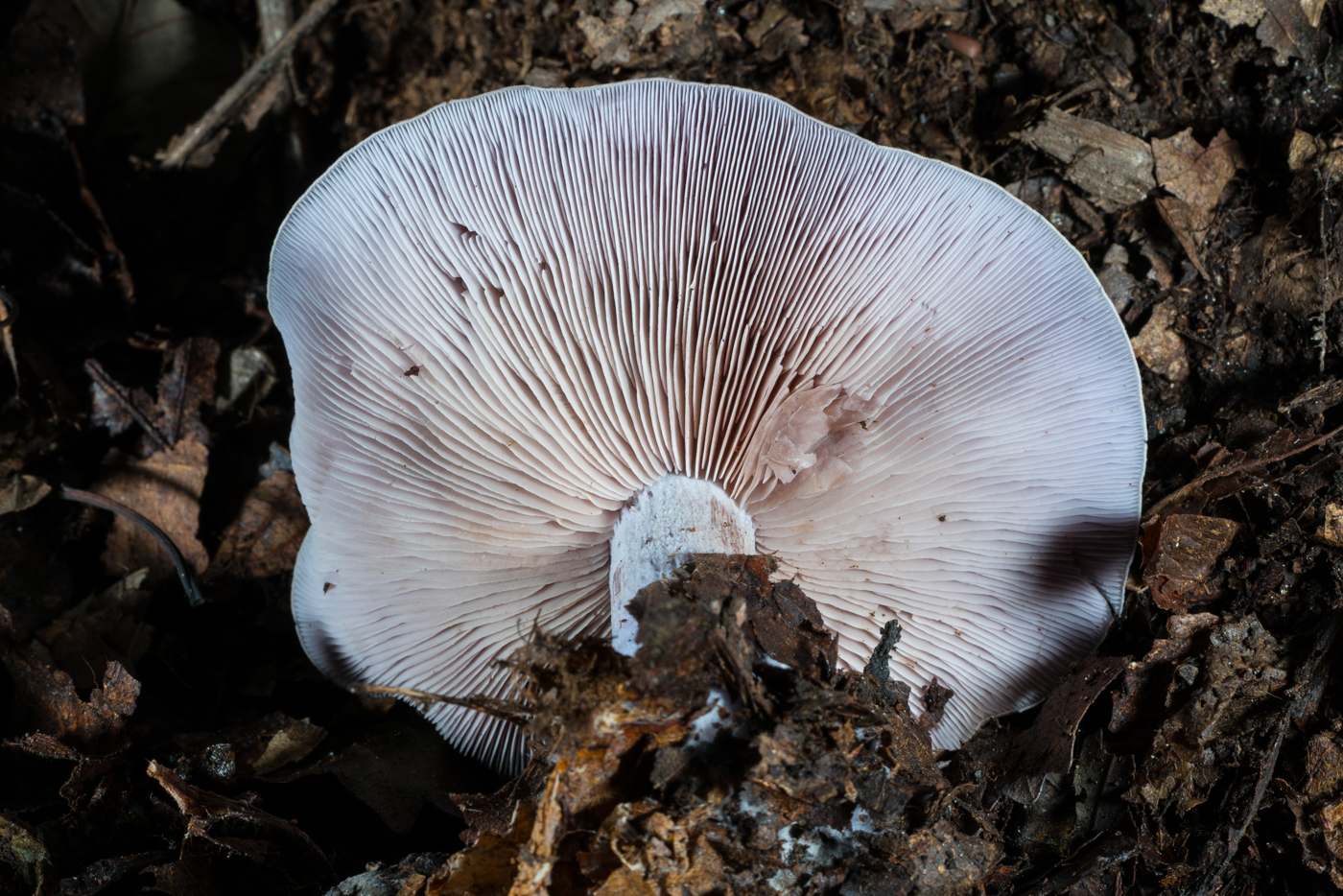 YDY06728.jpg