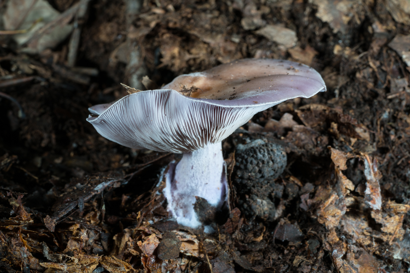 YDY06718.jpg