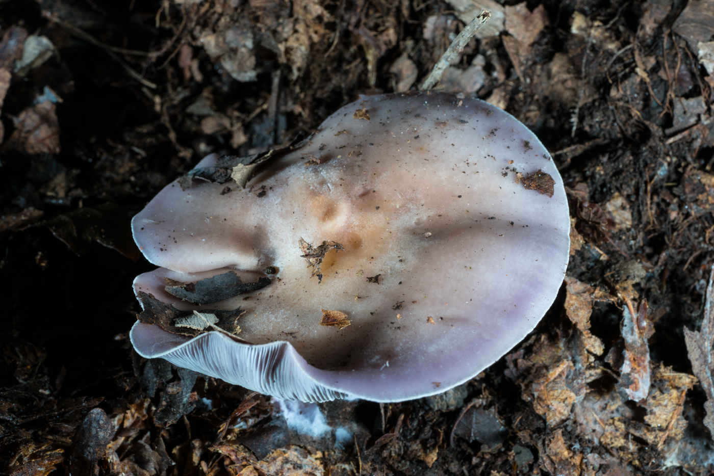 YDY06723.jpg