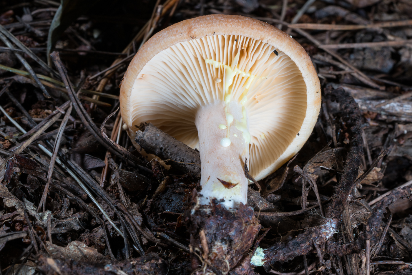 YDY06752.jpg