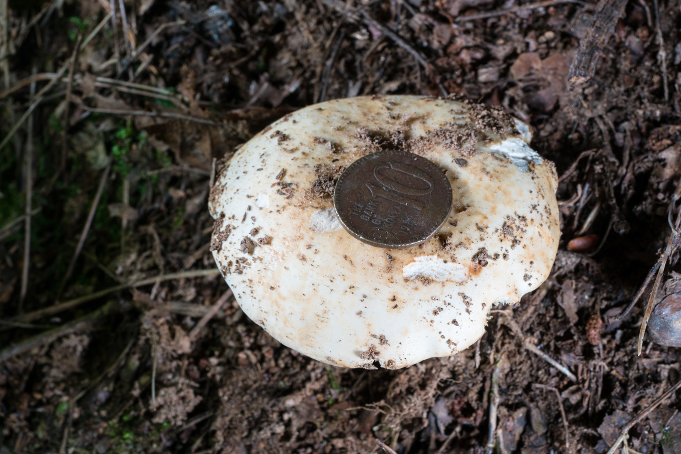 YDY06756.jpg