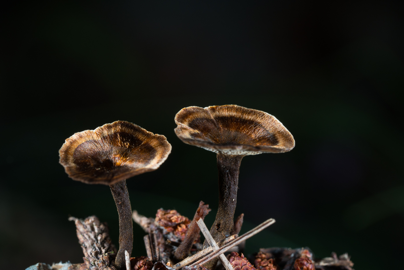 YDY05188.jpg