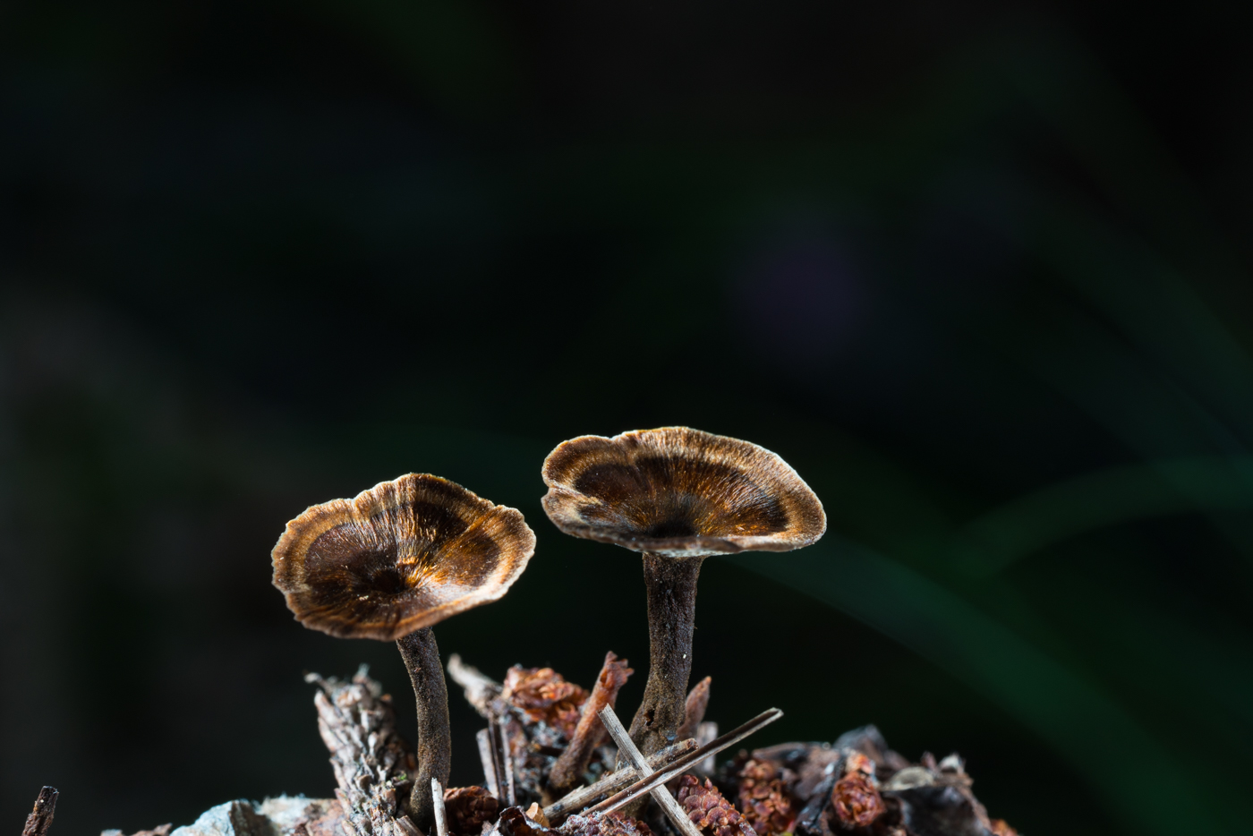 YDY05197.jpg