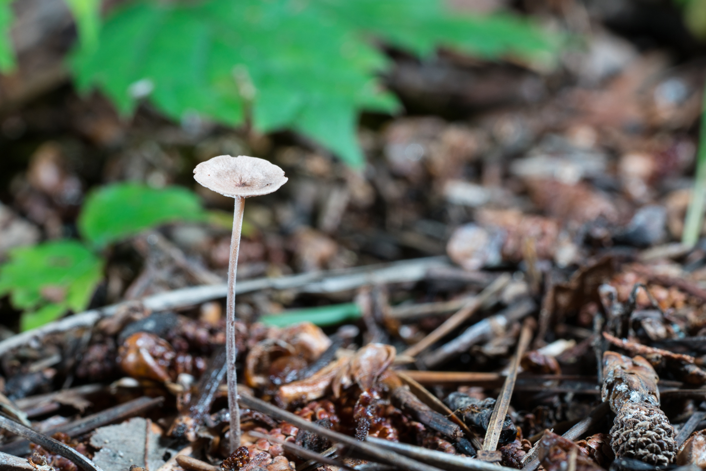 DSC03795.jpg