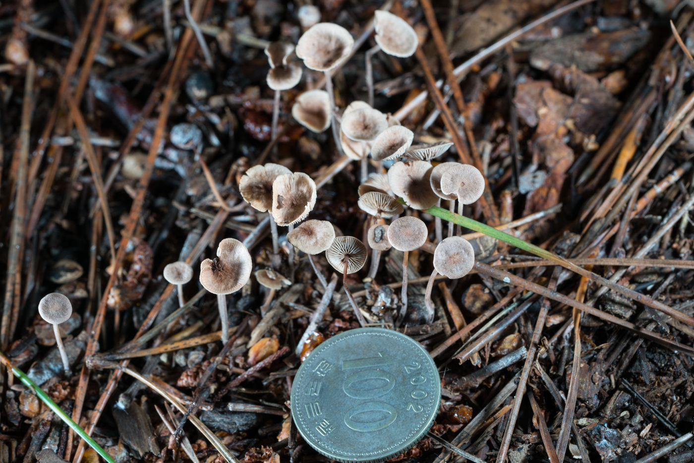 DSC03792.jpg