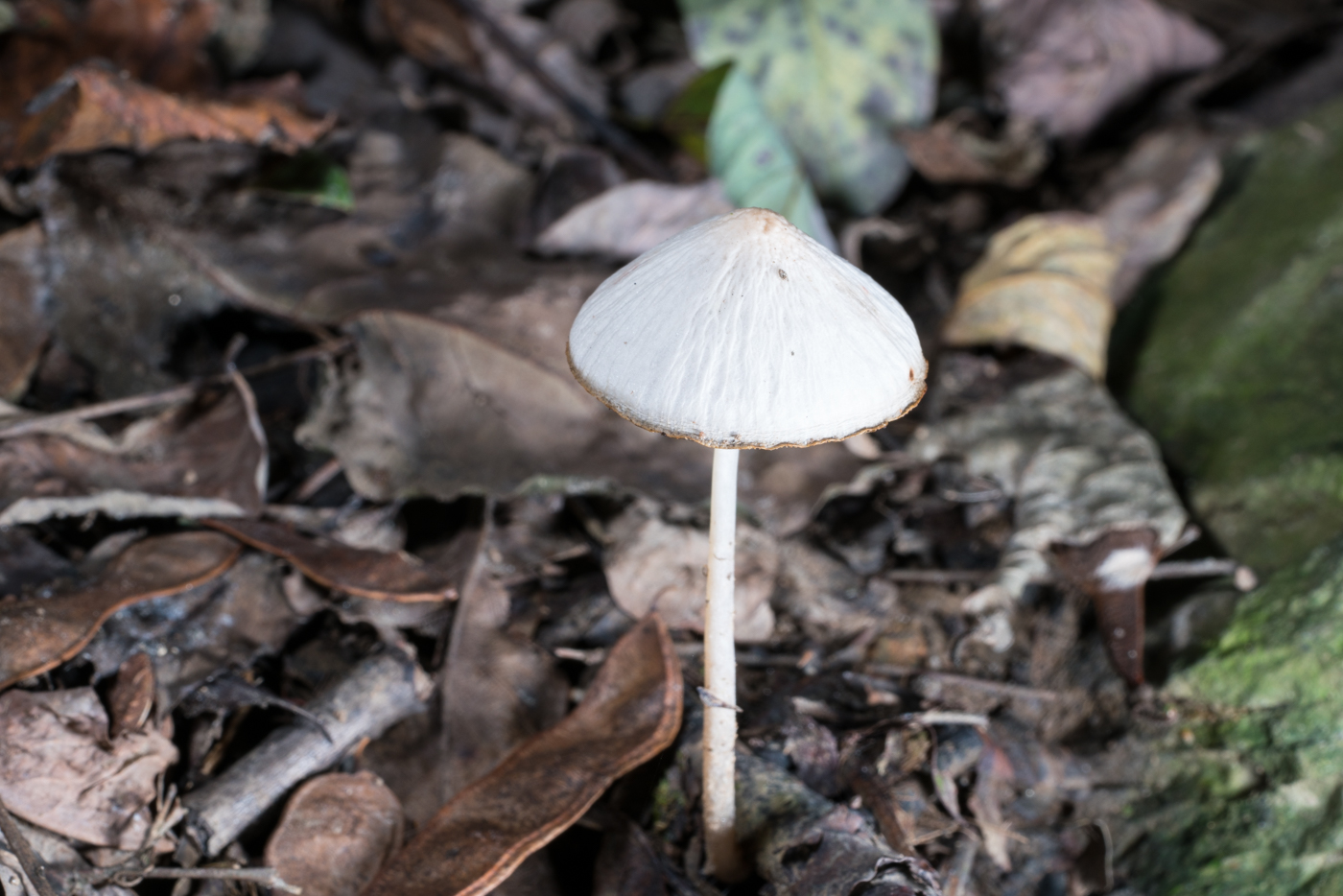YDY06768.jpg