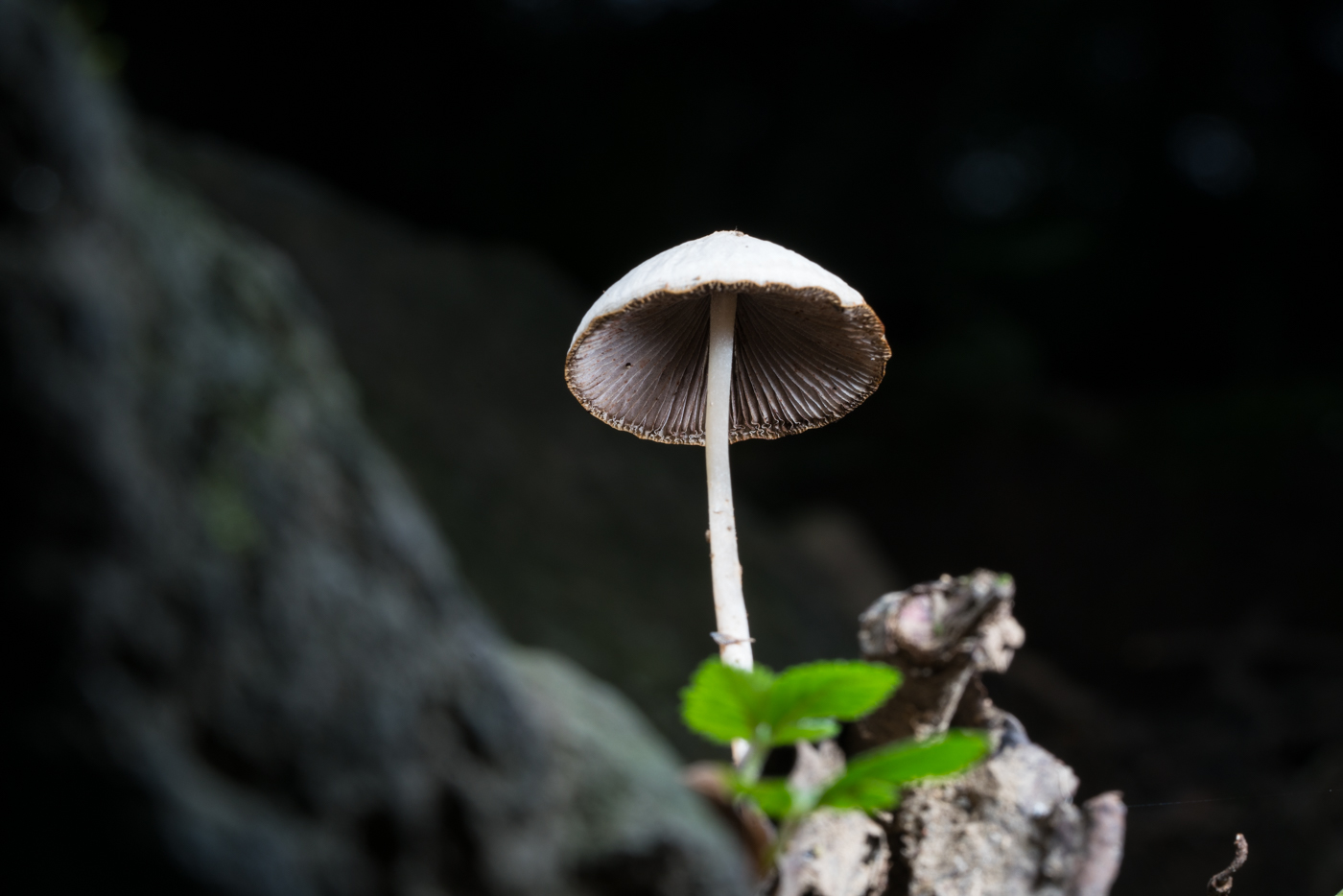 YDY06772.jpg