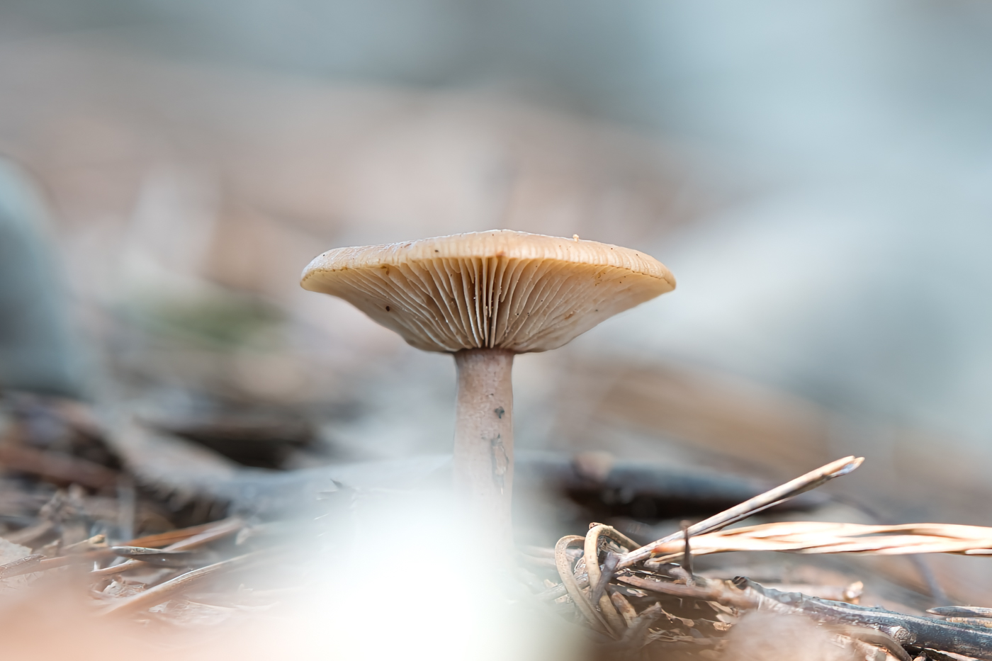 A9300290.jpg