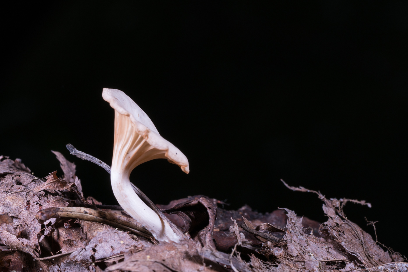 YDY05139.jpg