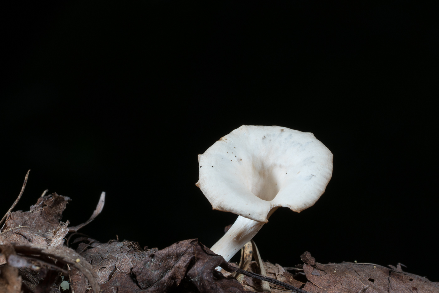 YDY05144.jpg