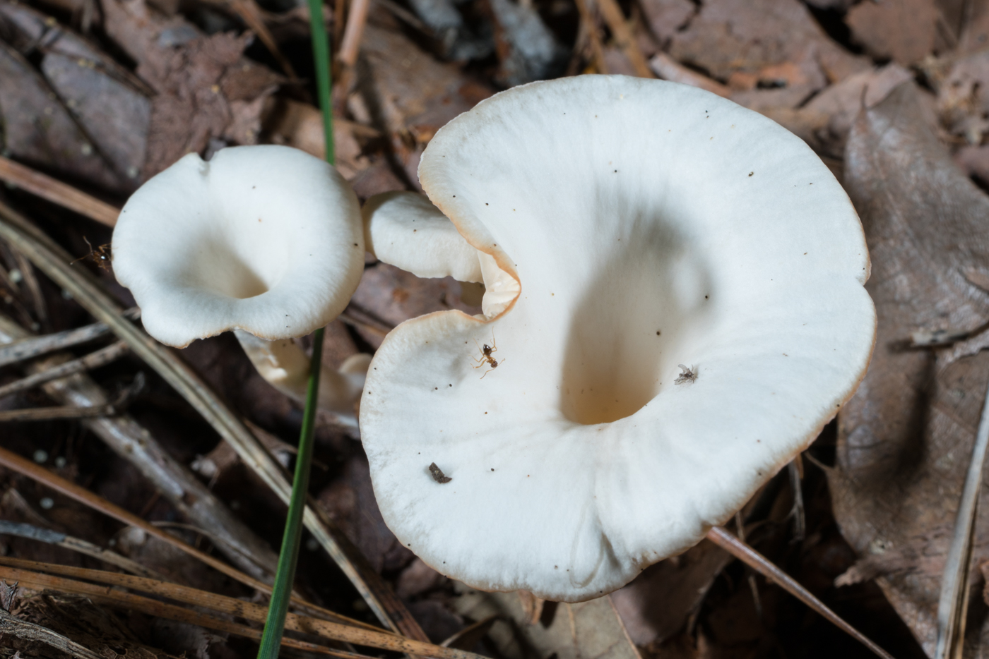 YDY05137.jpg