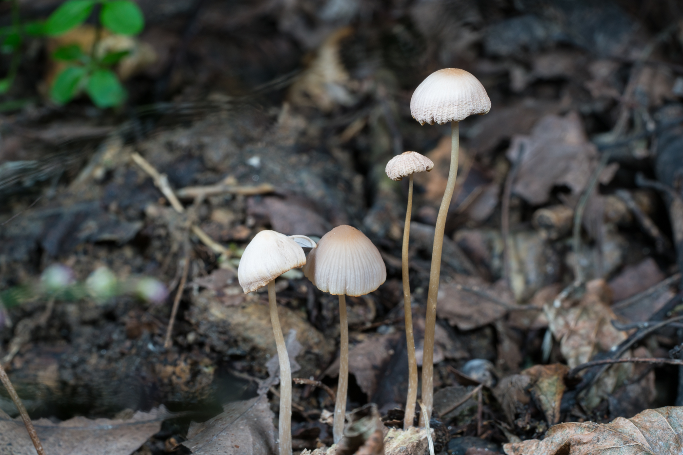 YDY06777.jpg