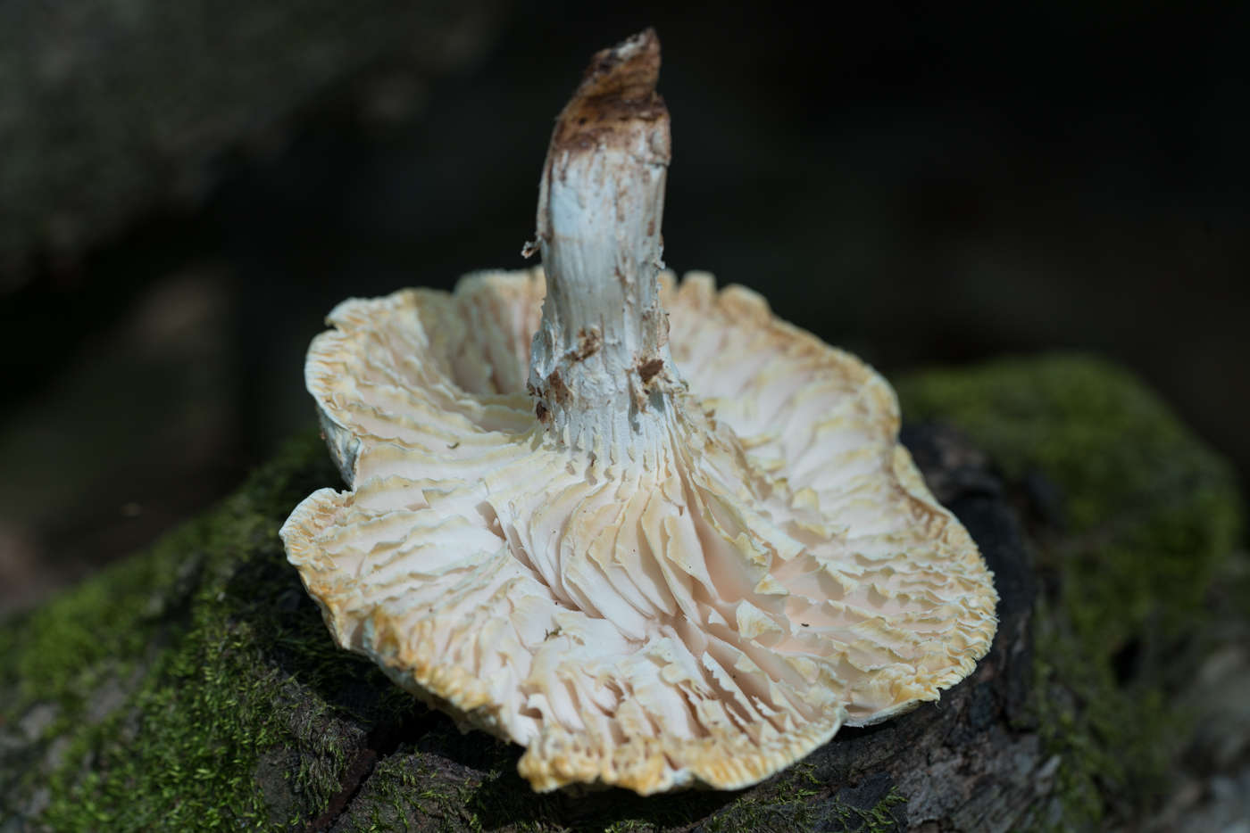 YDY07044.jpg