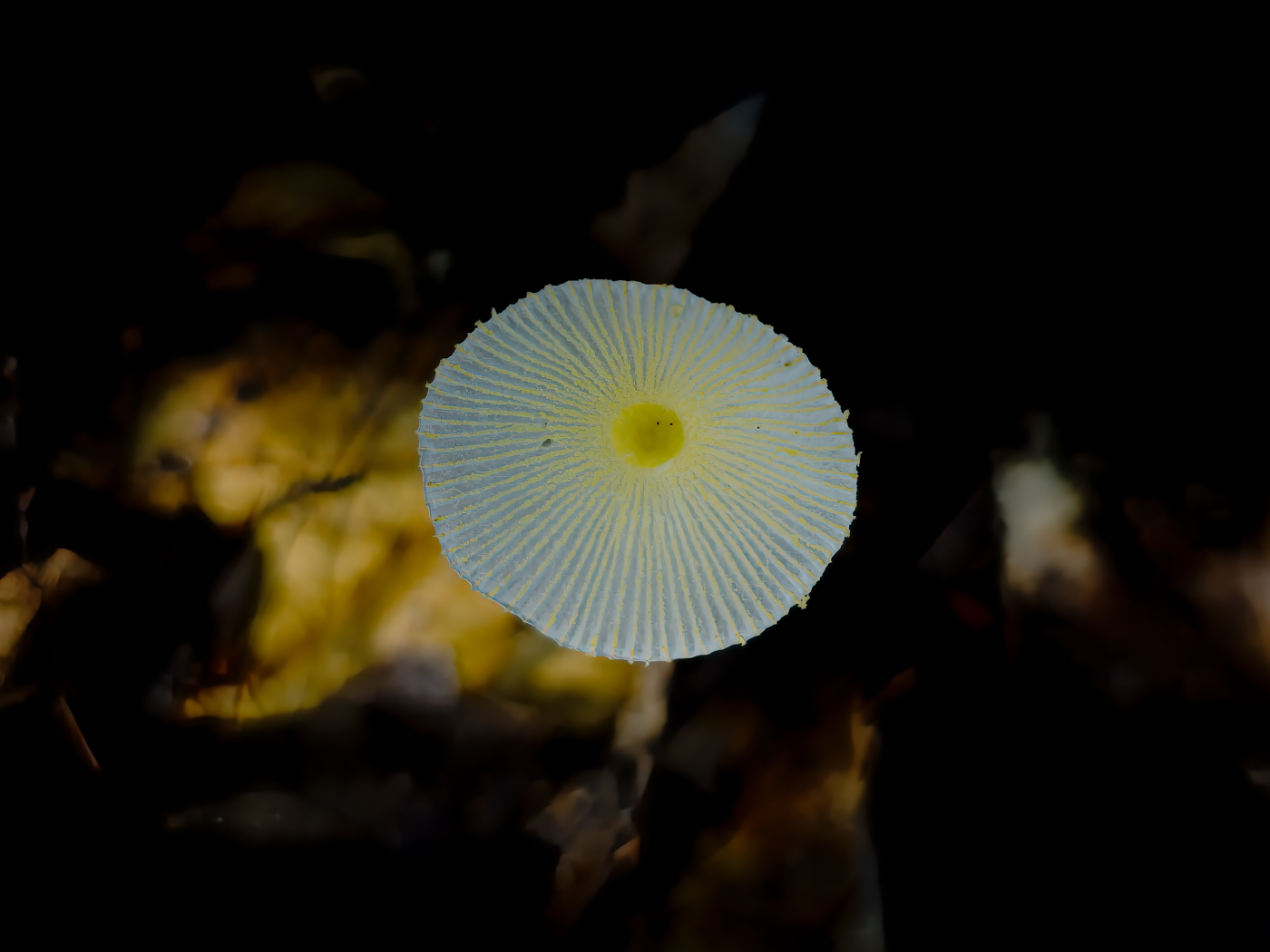 20250929_102805.jpg