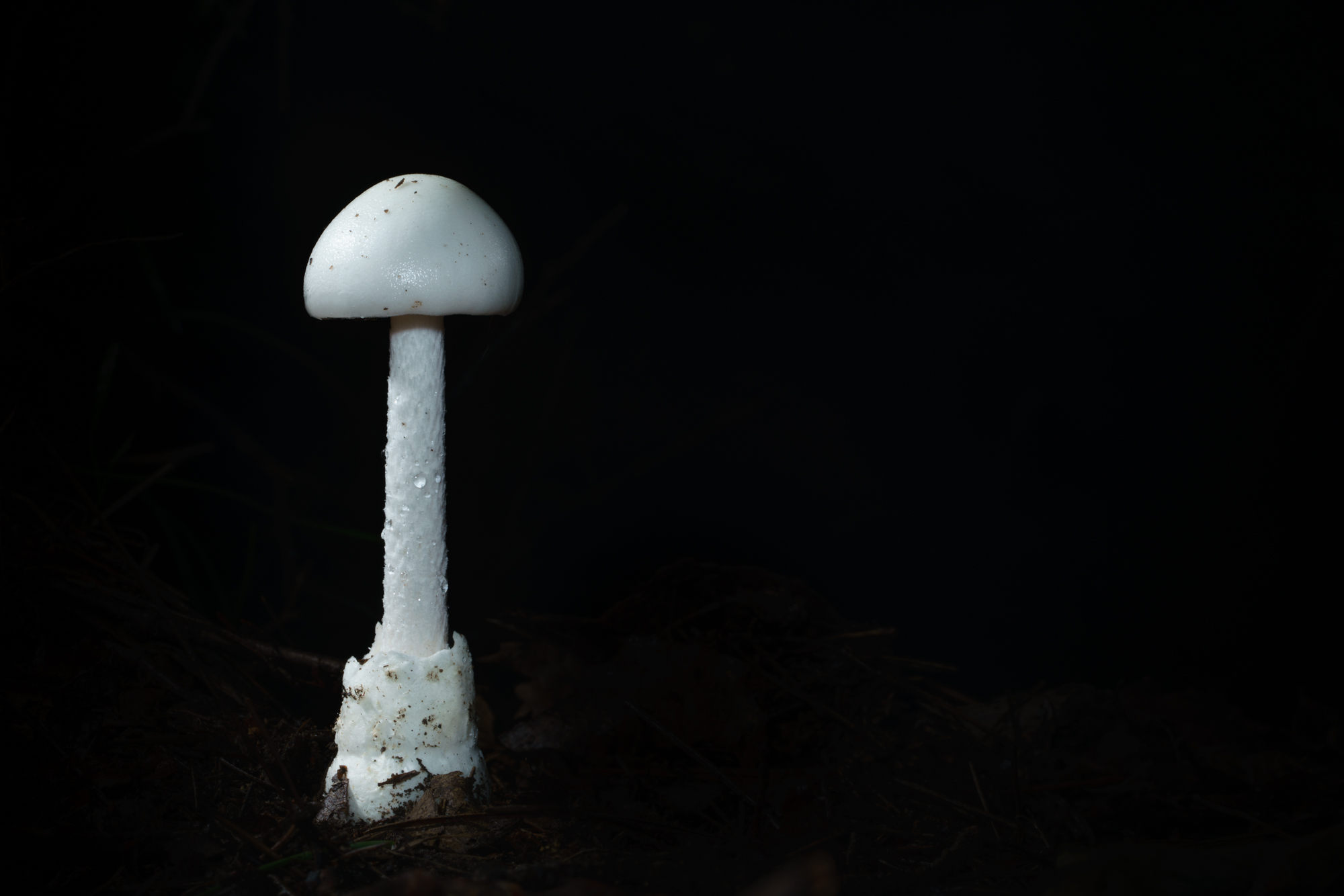 20190816-YDY03915.jpg