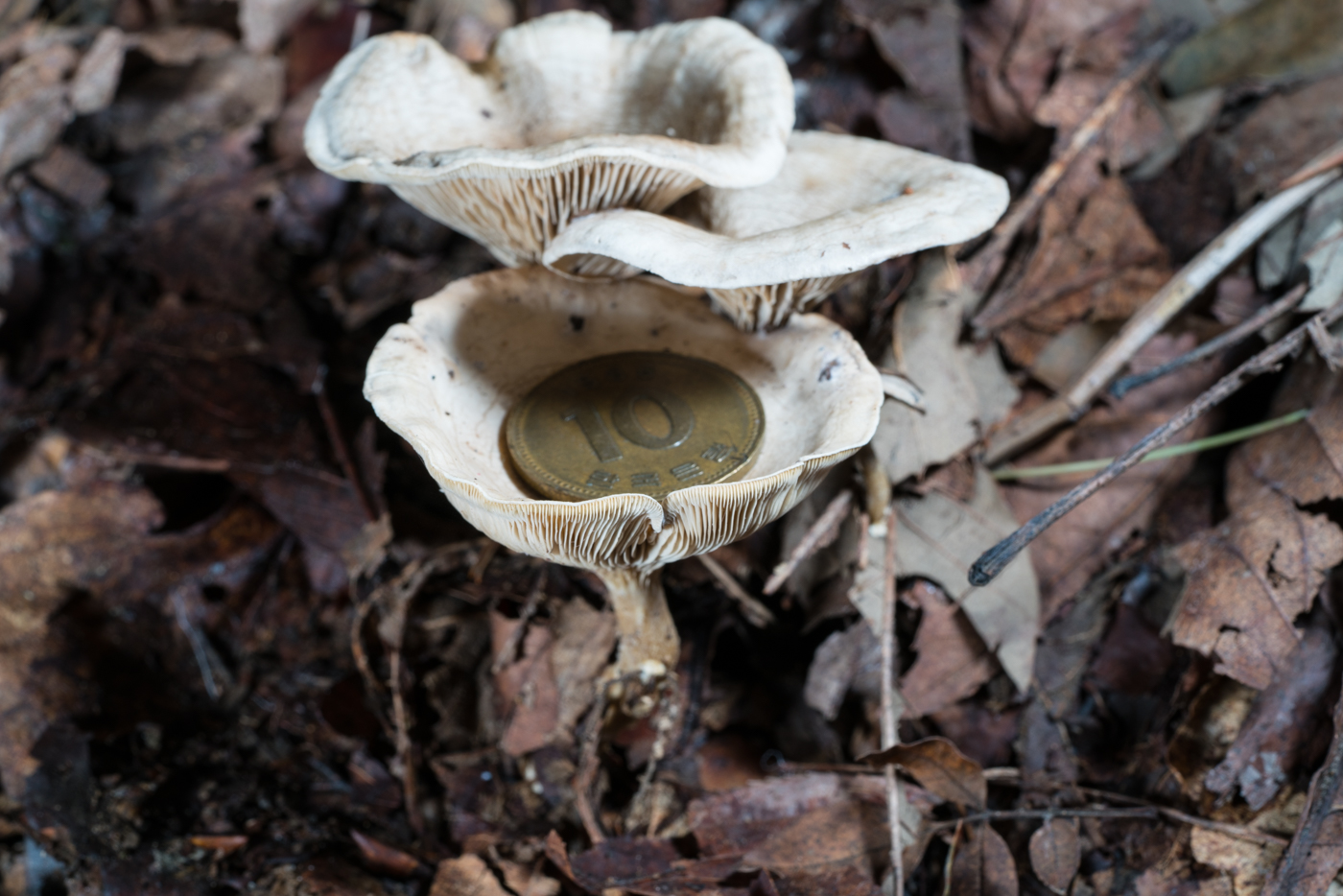 YDY06844.jpg