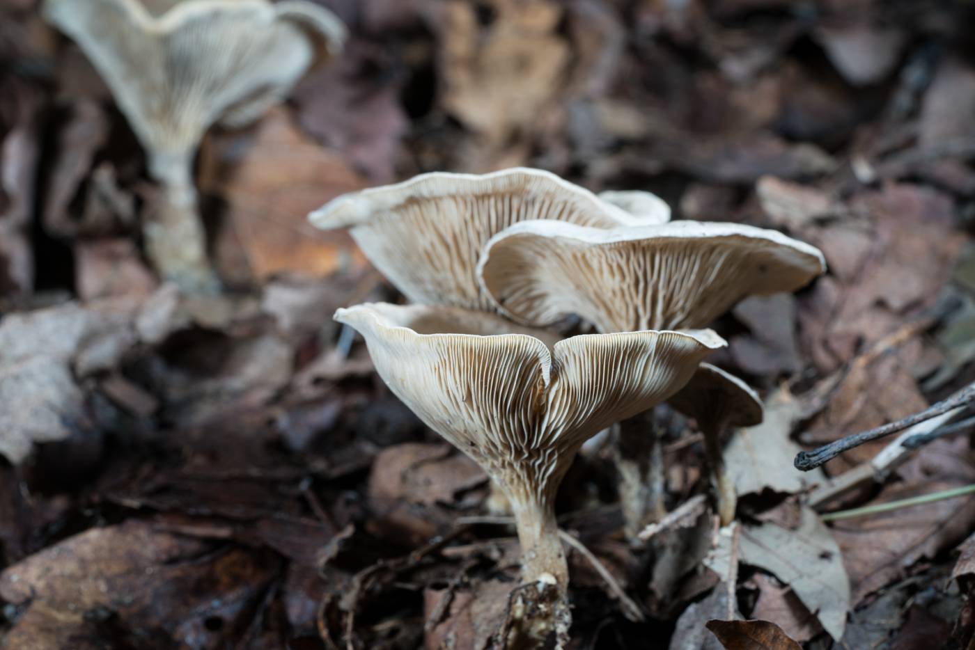 YDY06847.jpg