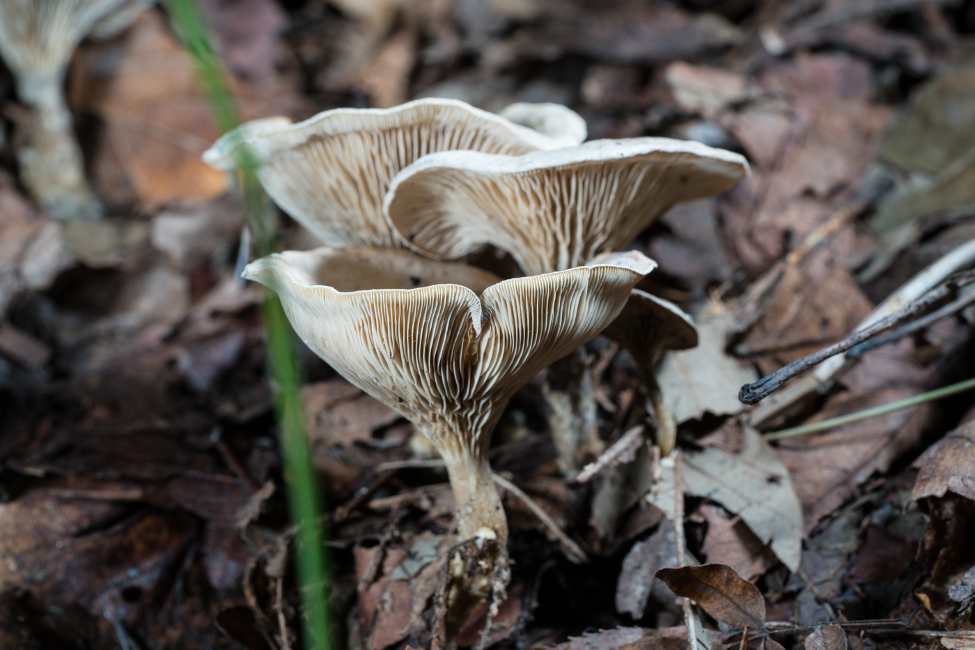 YDY06842.jpg