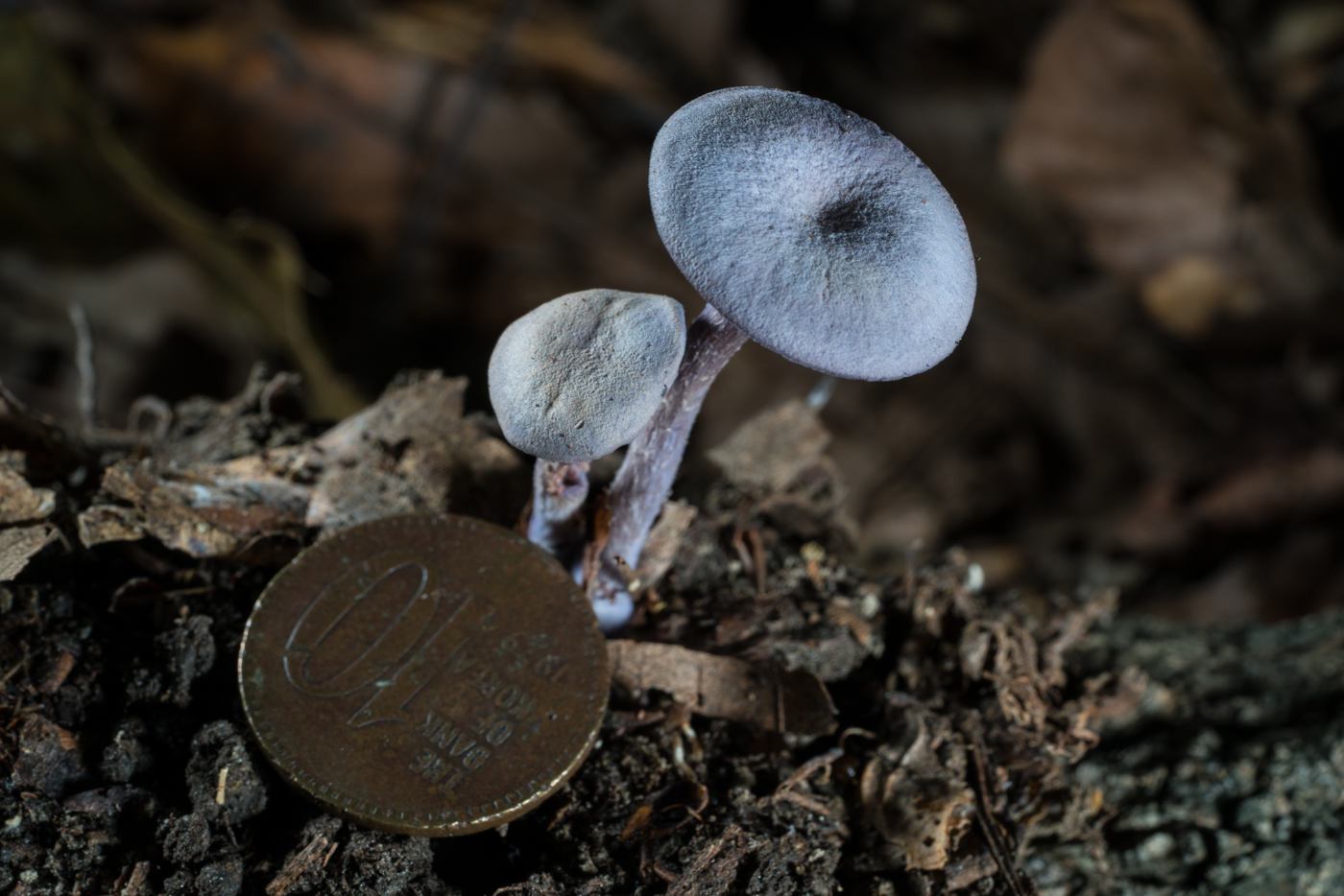 YDY06165.jpg