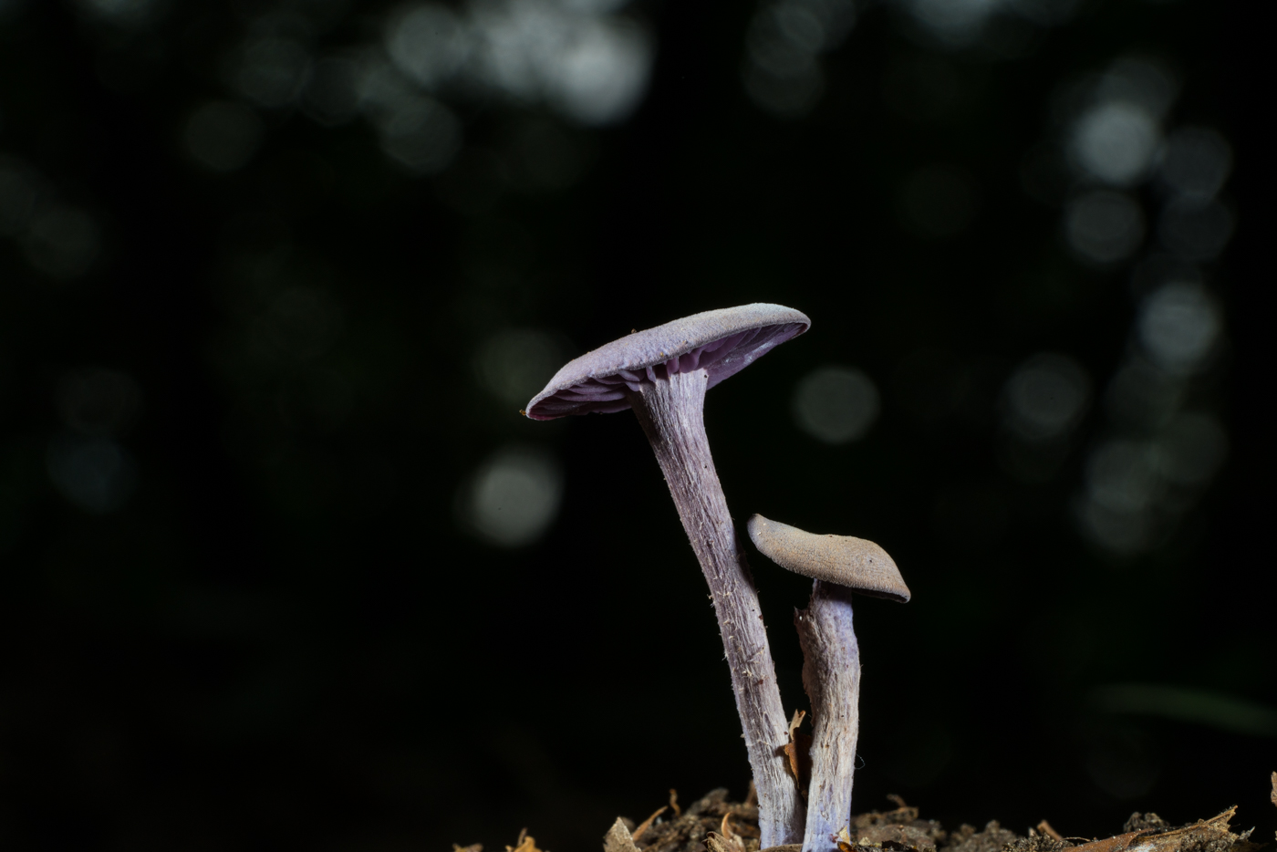 YDY06150.jpg