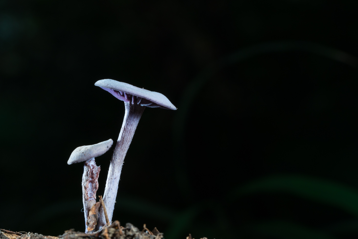 YDY06156.jpg