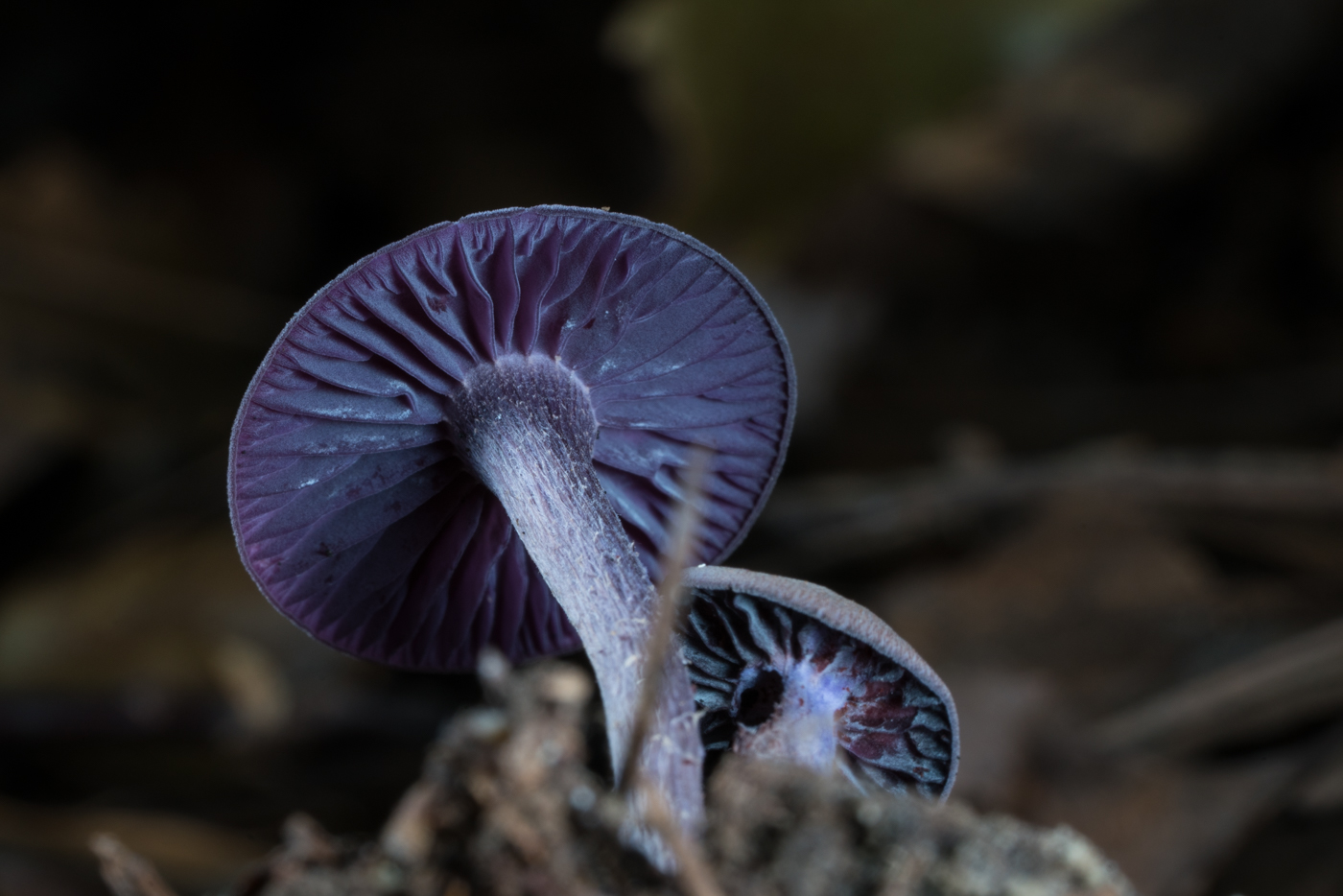 YDY06174.jpg