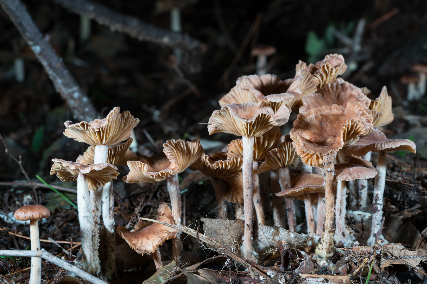 YDY05250.jpg