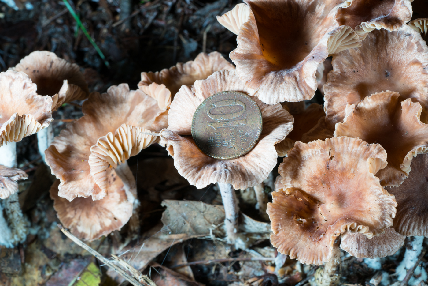 YDY05256.jpg