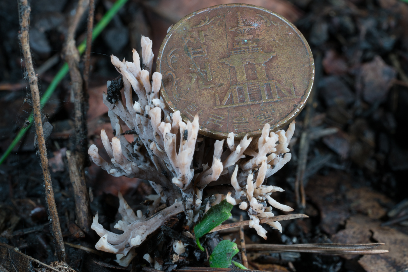 YDY05267.jpg