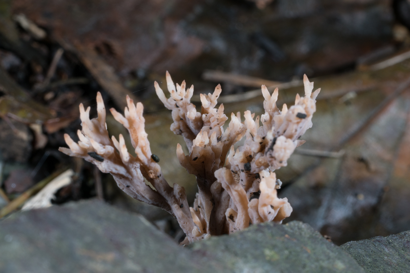 YDY05263.jpg