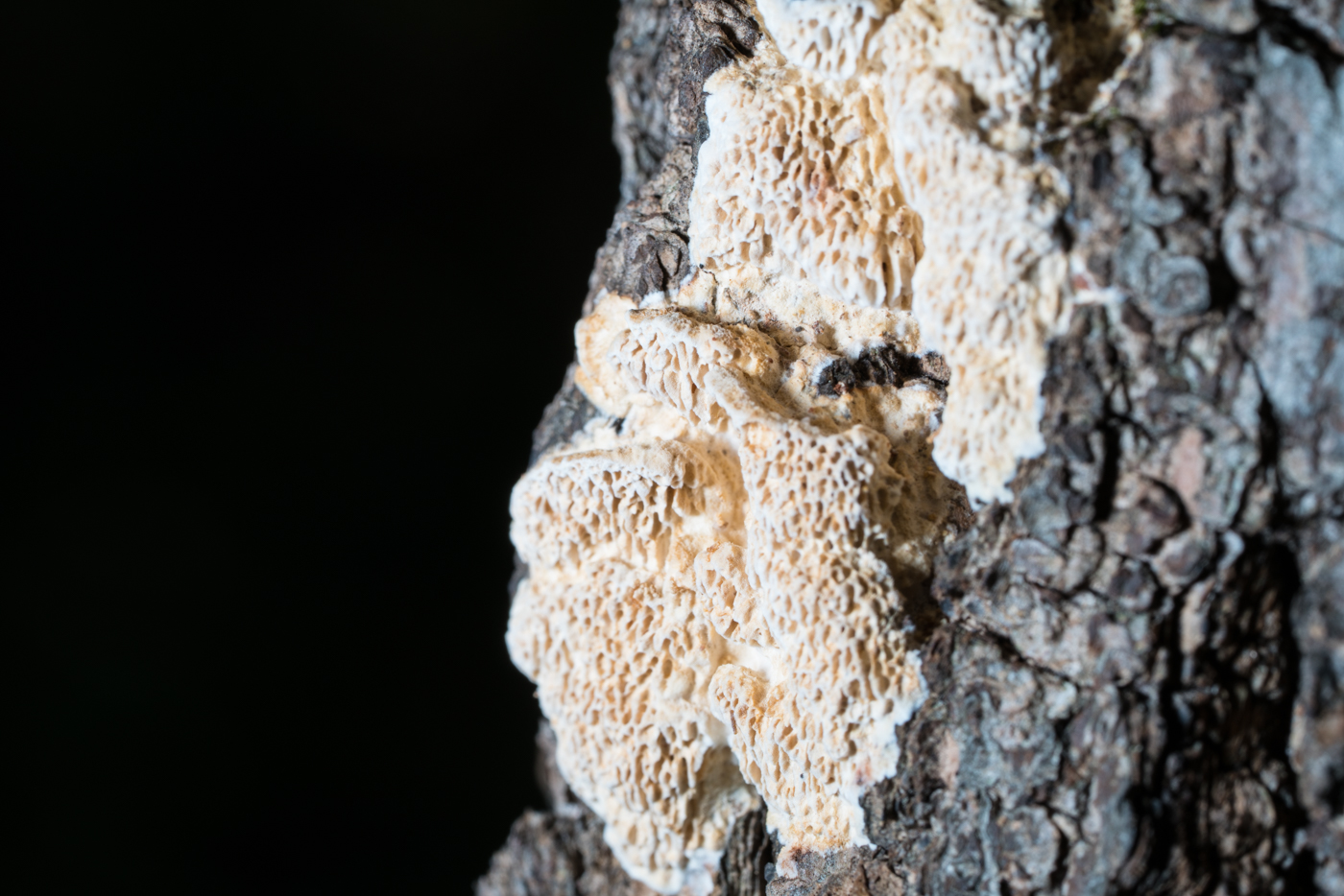 YDY06863.jpg