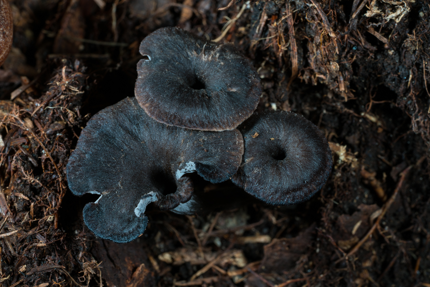 YDY05275.jpg