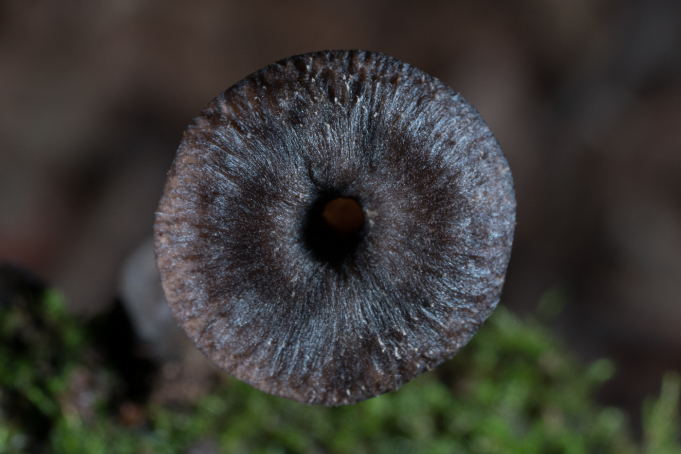 YDY05298.jpg