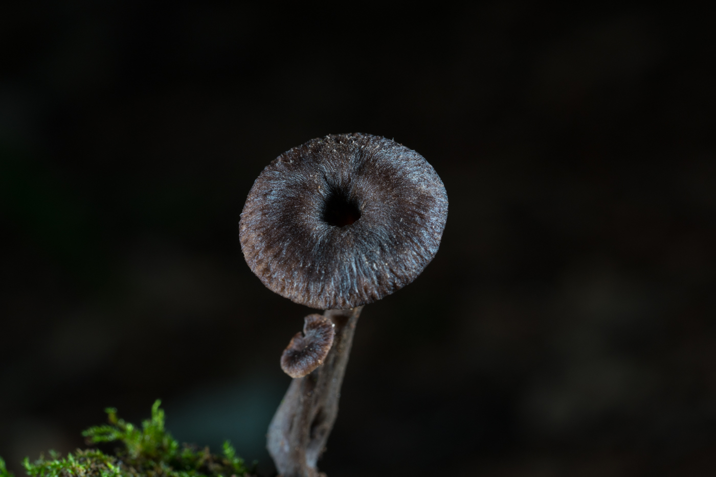 YDY05296.jpg
