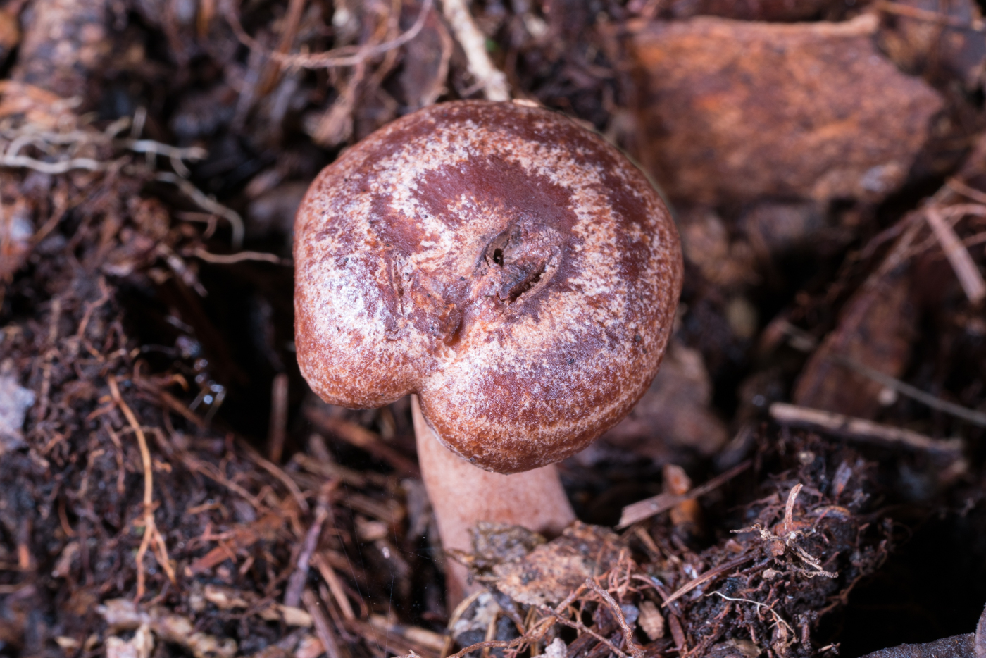 YDY05284.jpg