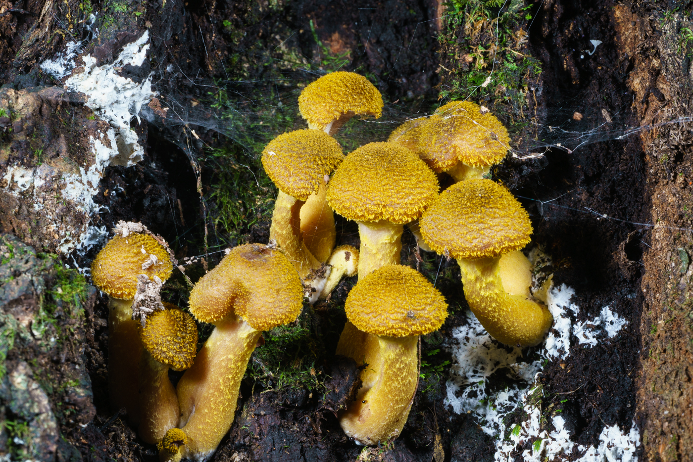 YDY06082.jpg