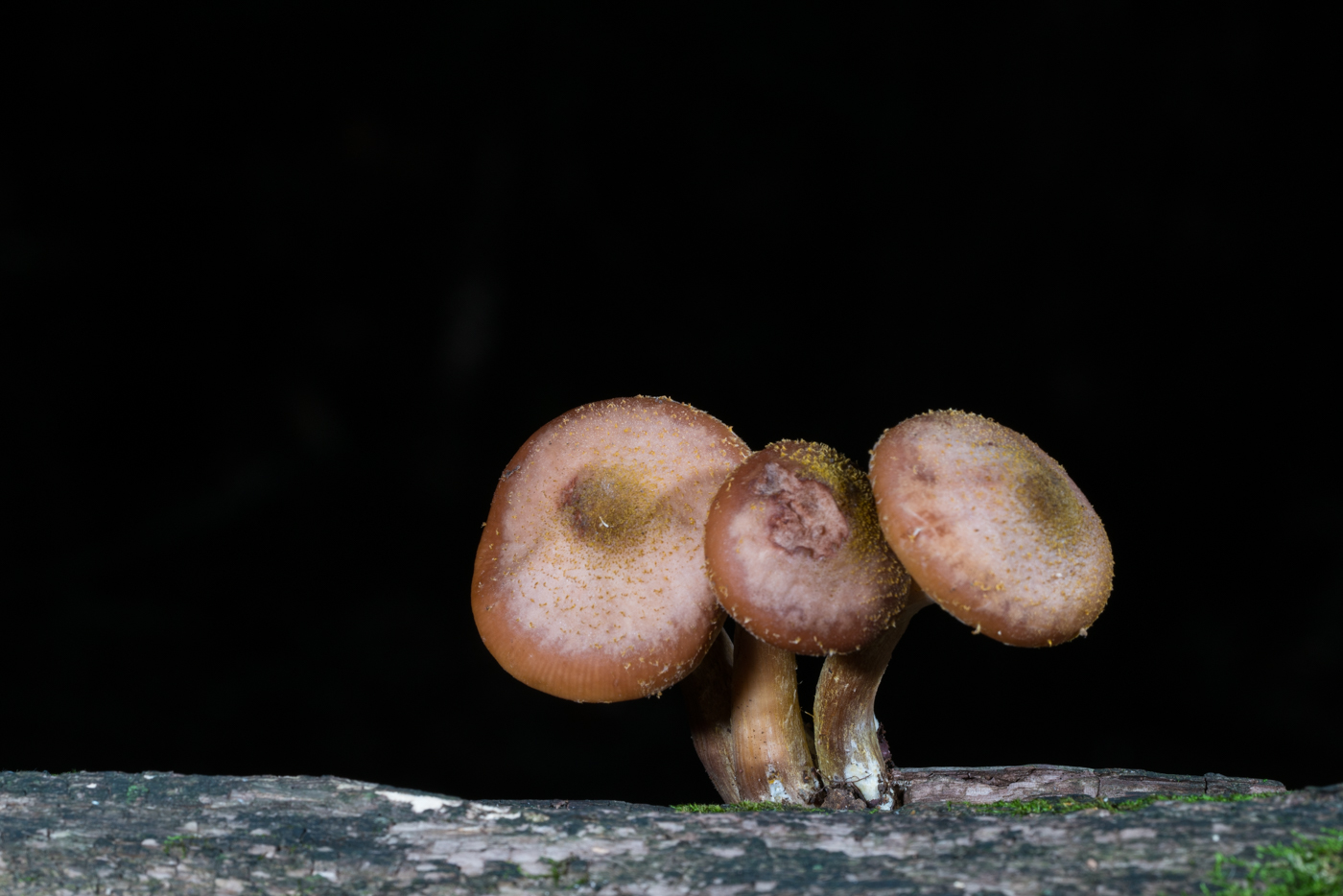 YDY06120.jpg