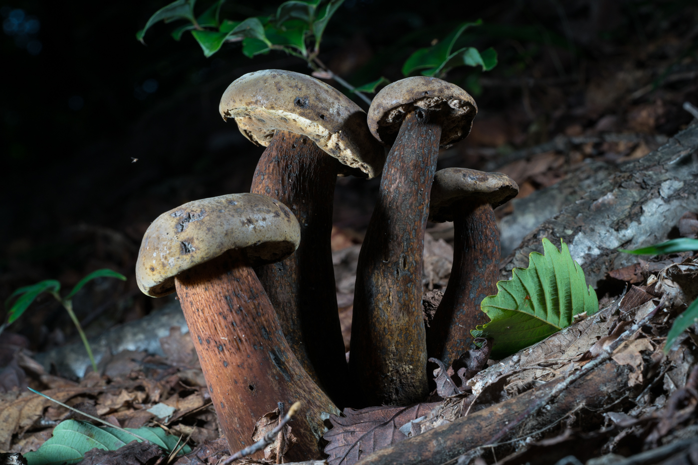 YDY05385.jpg