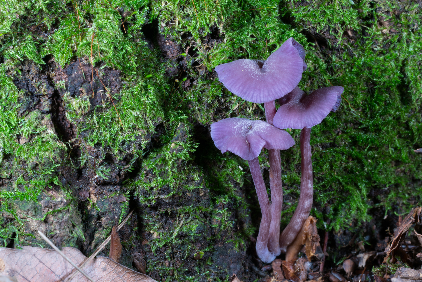 YDY05306.jpg