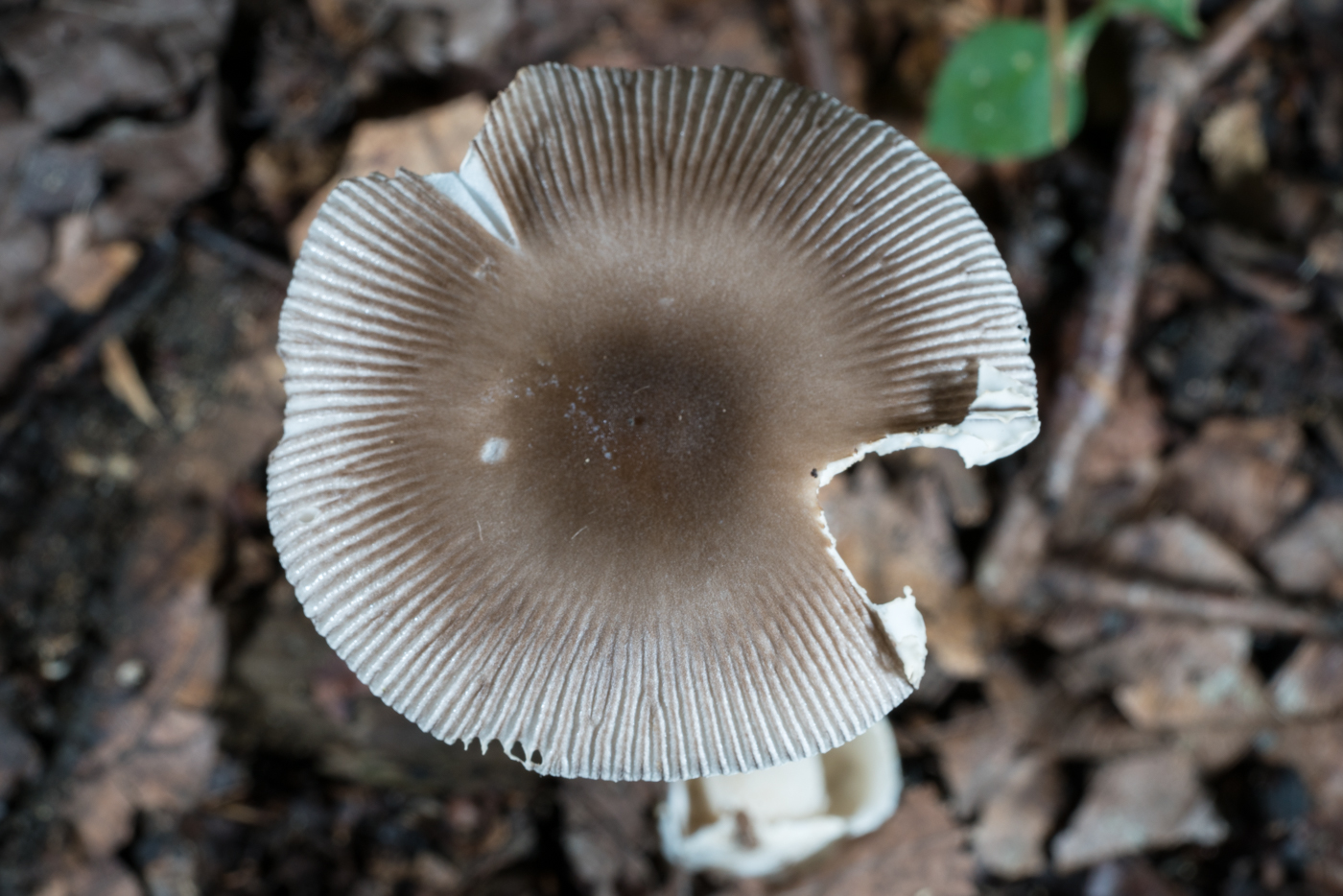 YDY05311.jpg