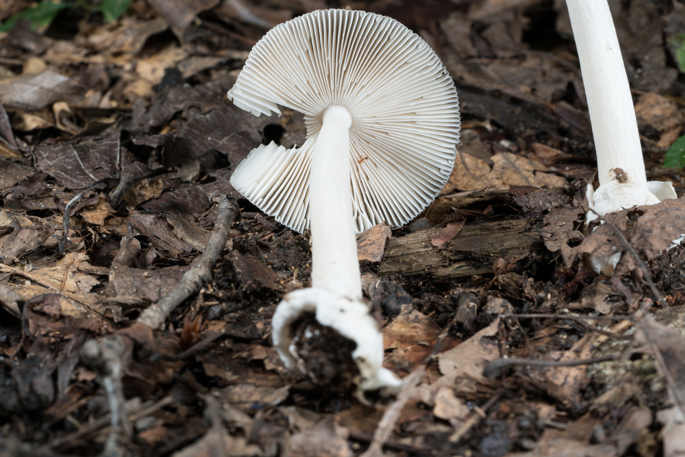 YDY05313.jpg