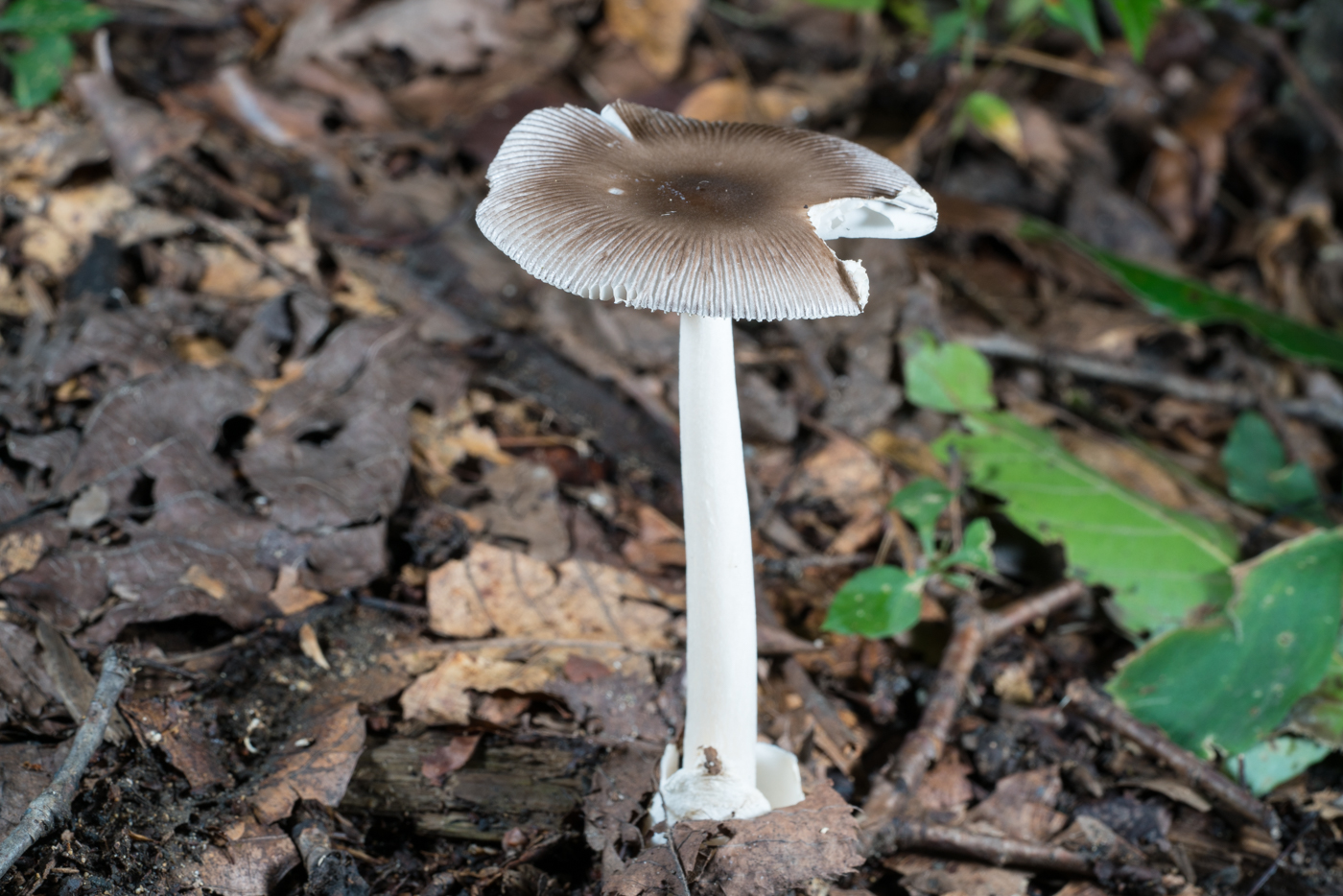 YDY05308.jpg