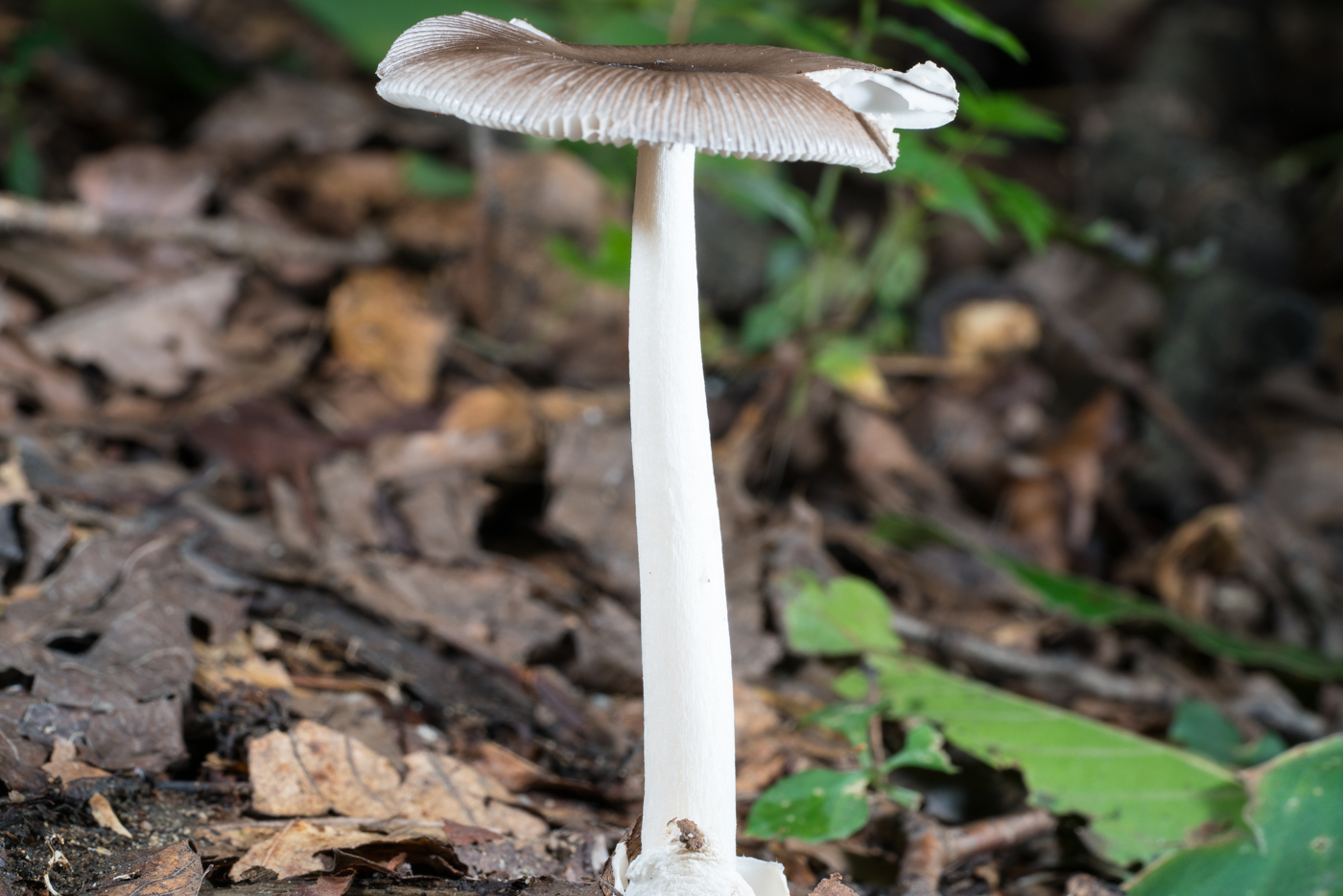YDY05309.jpg