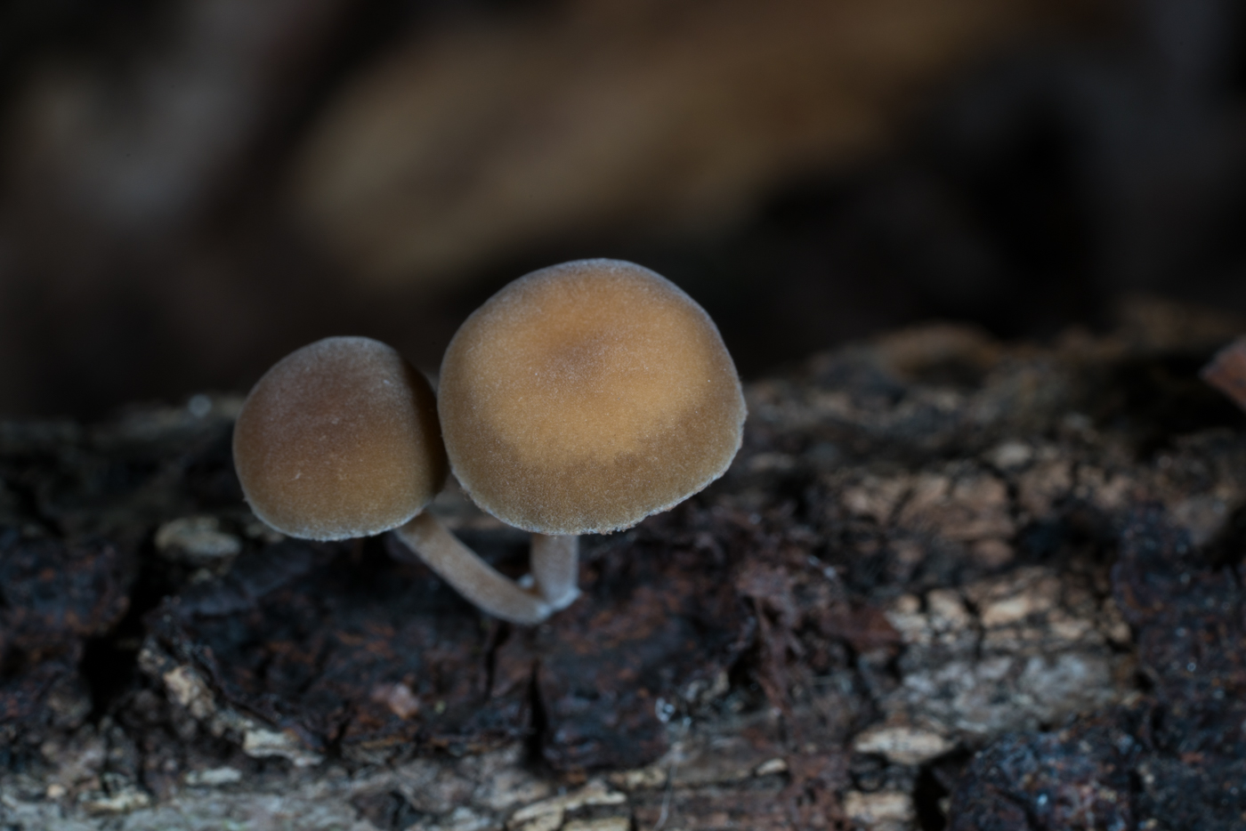 YDY06215.jpg