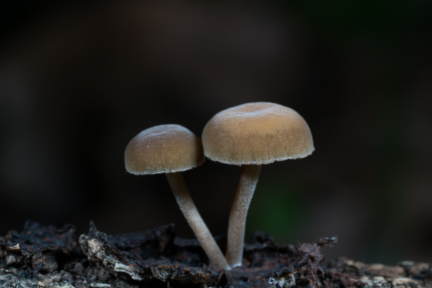 YDY06219.jpg