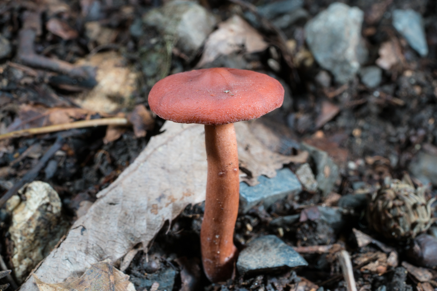 YDY05319.jpg