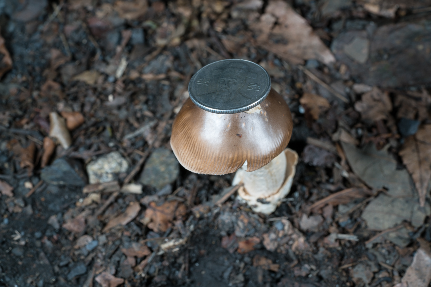 YDY06250.jpg