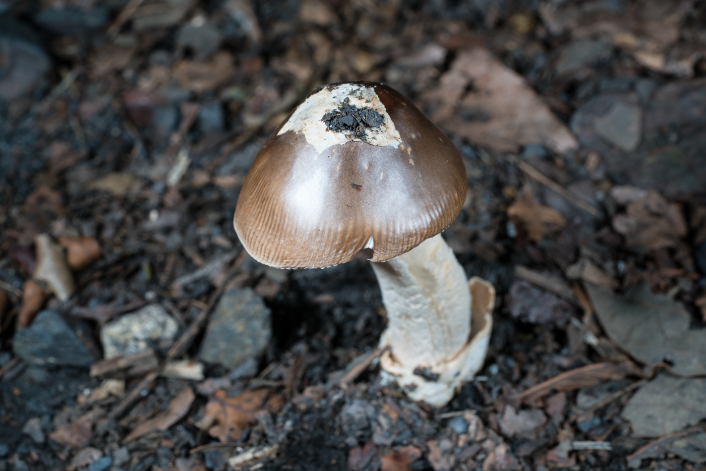 YDY06249.jpg